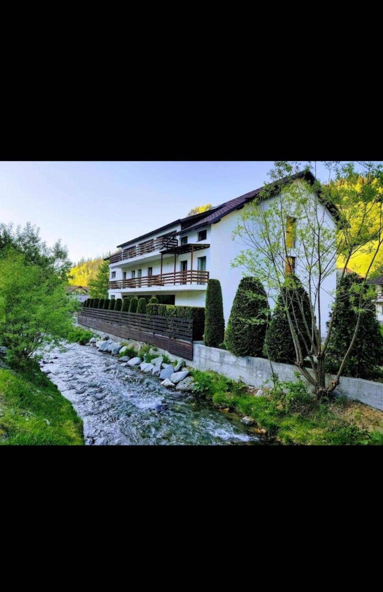 House Of River Moeciu De Sus Zewnętrze zdjęcie